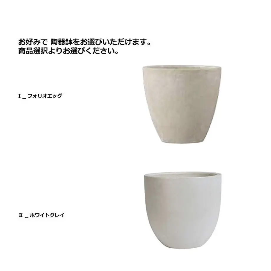 5ff7c950b00aa367698d6092