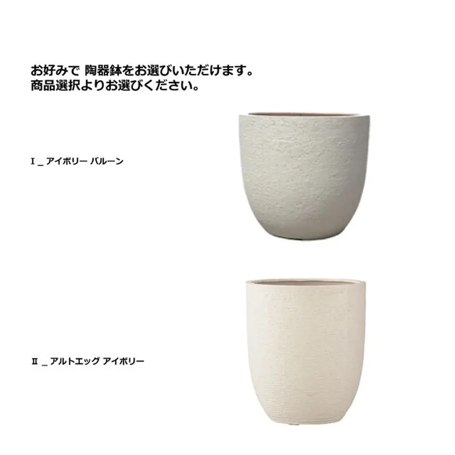 5ff7cb1572eb4657f2e887c5