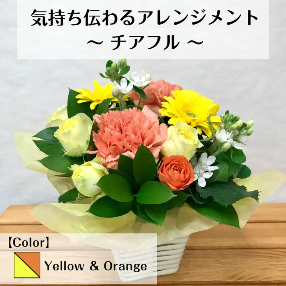 6190f27c4e8082795c714233