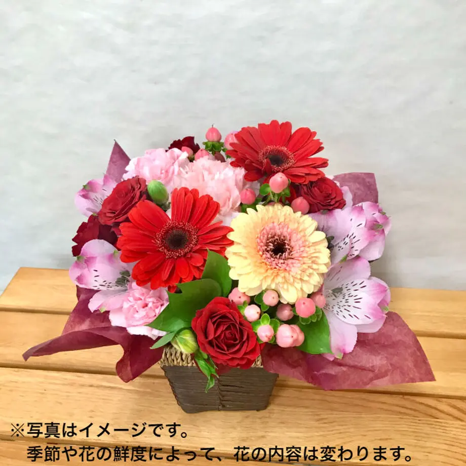 618f8055a92a7809f63c77a1