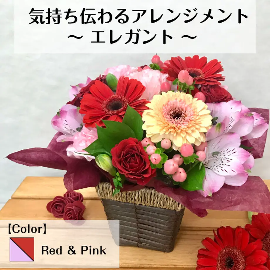 618f8055a92a7809f63c77a1