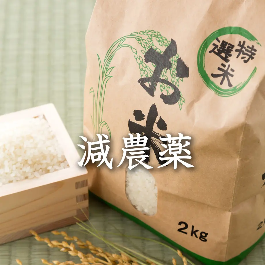 5c05cd6a2a28620f7257bc7e
