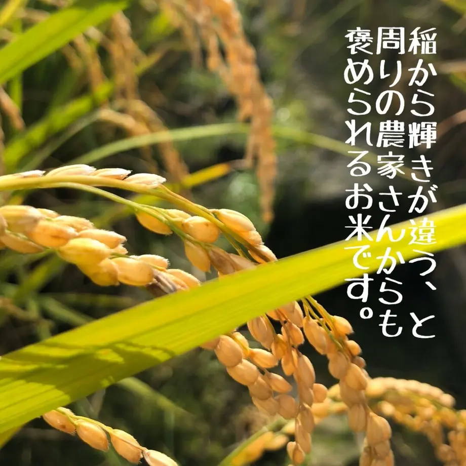 5b8d390c5f7866415700037b