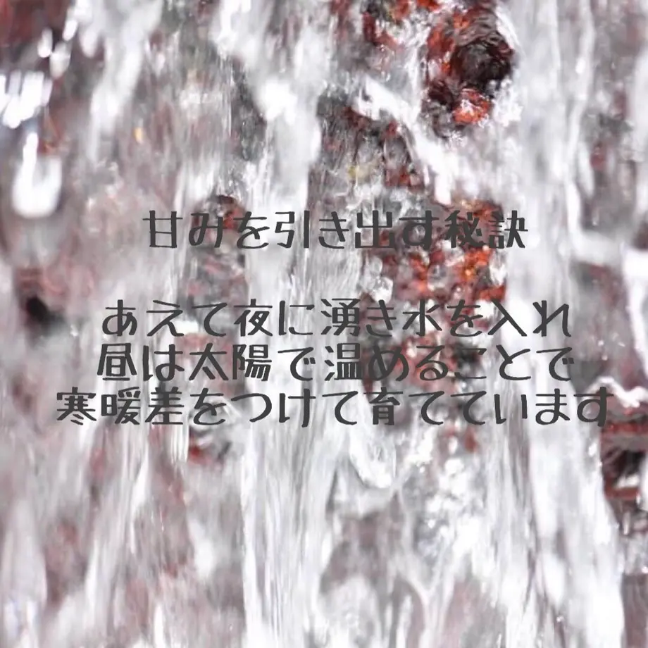 5b8d390c5f7866415700037b