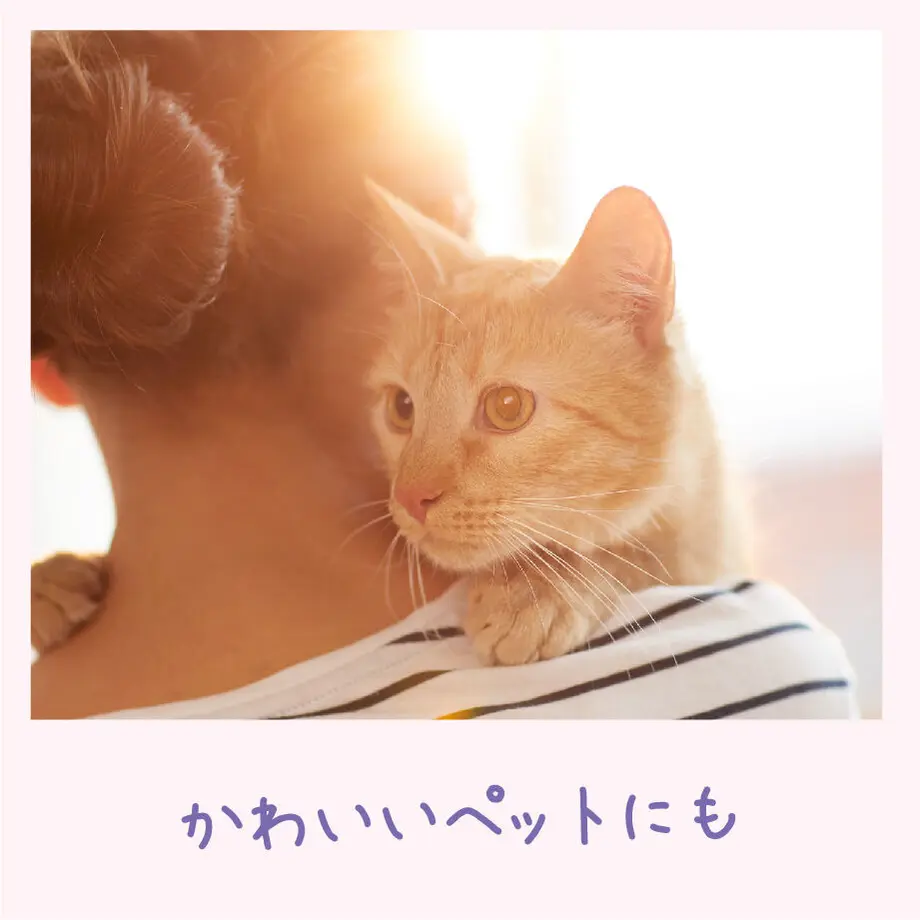 5fd1c89bda019c305ab34174