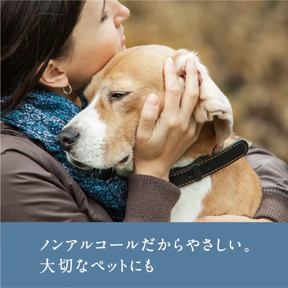5fe4422f8a4572634cc8a8c8