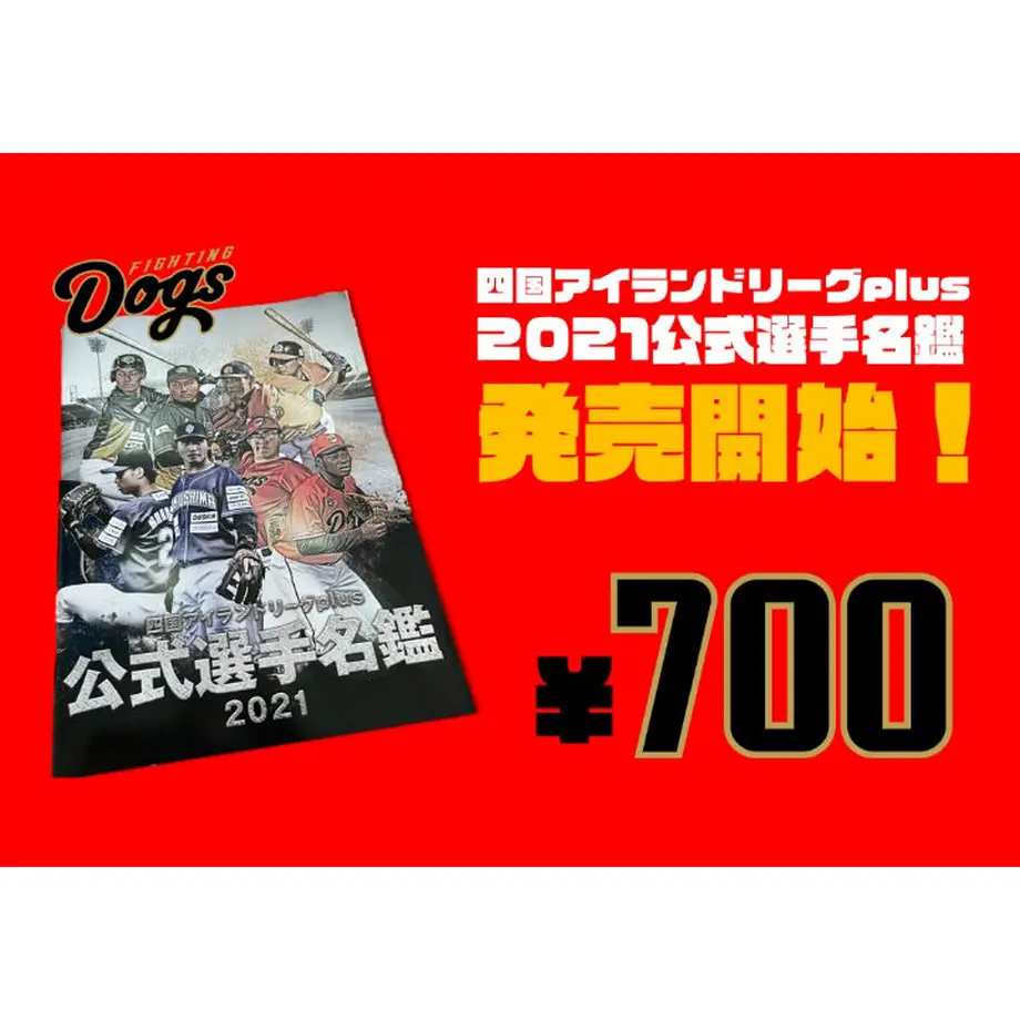 60585d0ed5e9c94cada22805