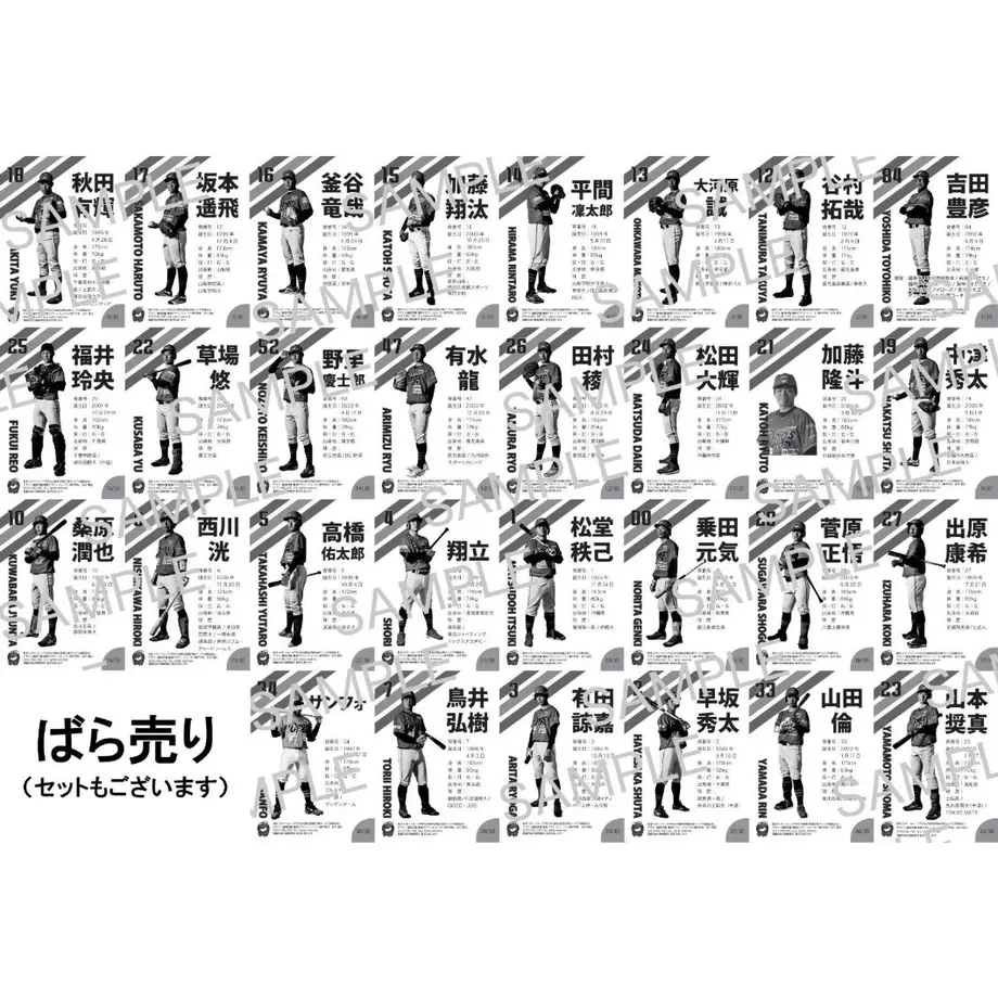 62cb87e6b5285a38c9a6b2ea