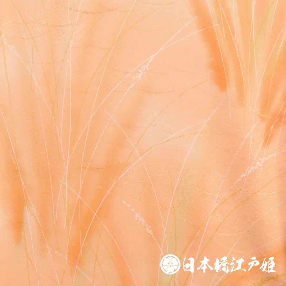 5b23f9d250bbc37019002d8f