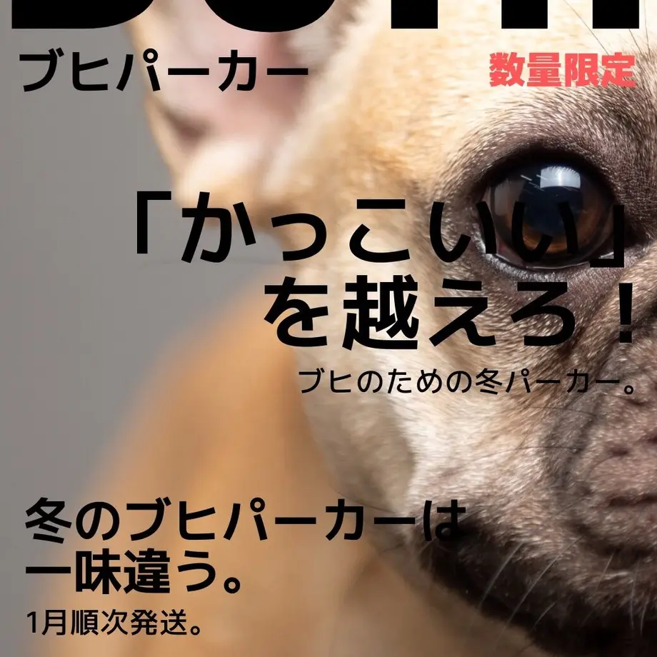 619e094bdf515944a592fae1