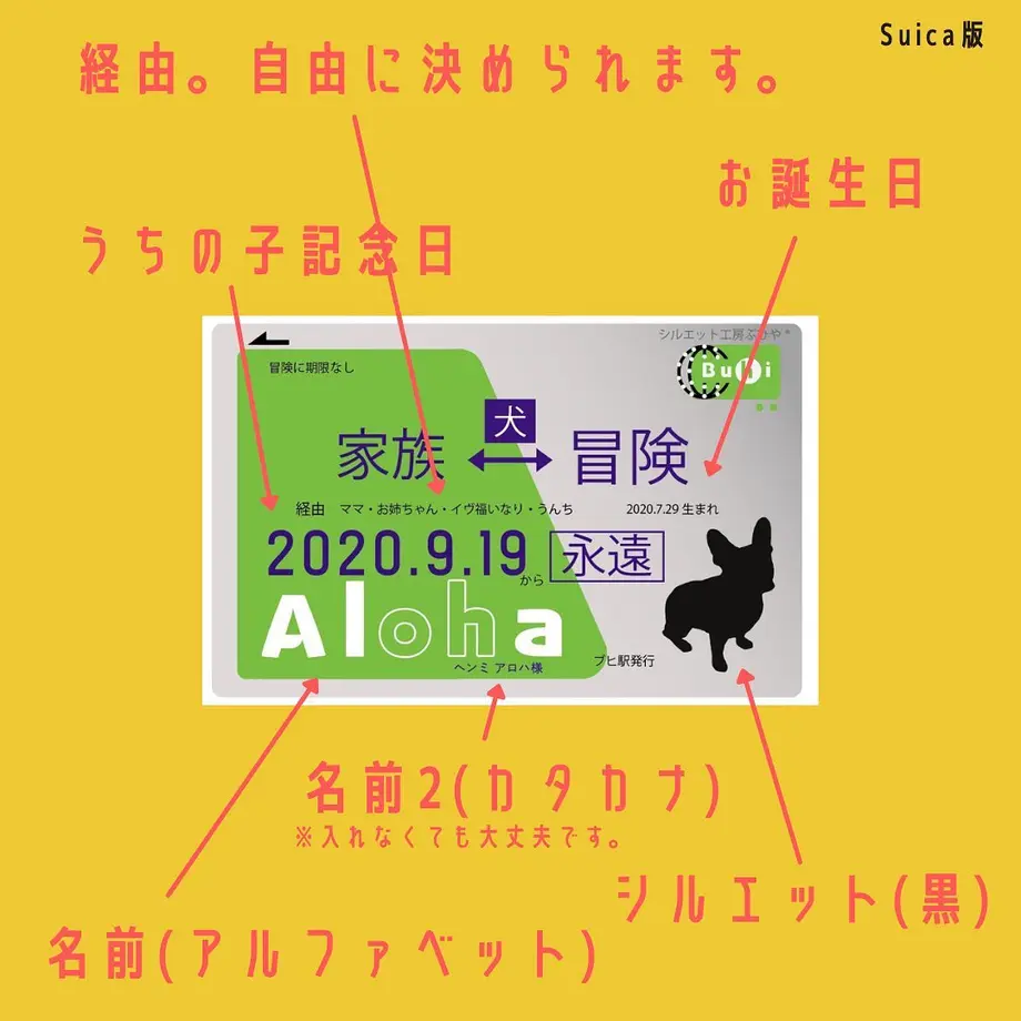 60cdbd4184ec6e39958101ab