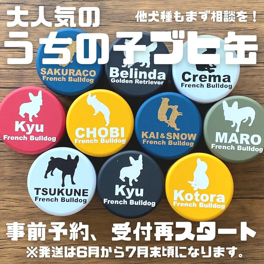 60b464657c42ee08d46be9c7