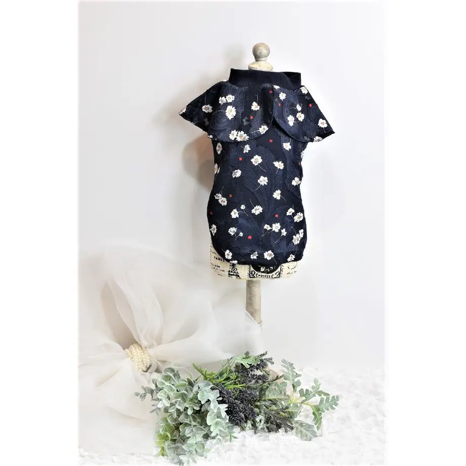 63466fb24aed1930299547e3