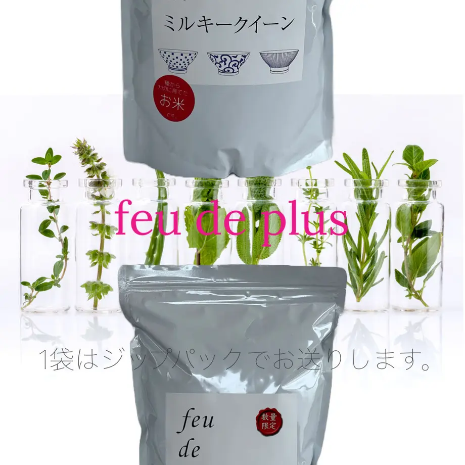 55277a2786b188c4a3000cd4