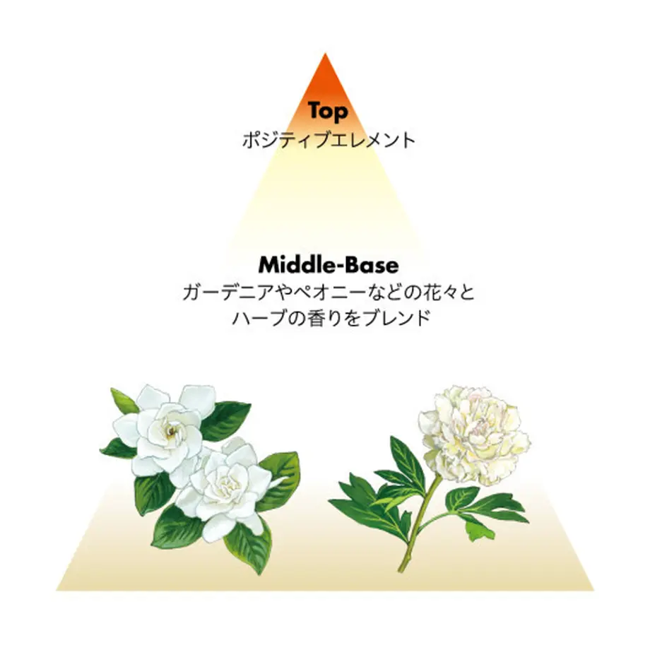 5e946fad9931217ecd20253f