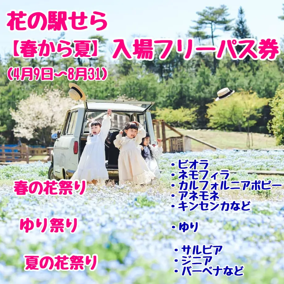 61e772a572c5de28d397db2e