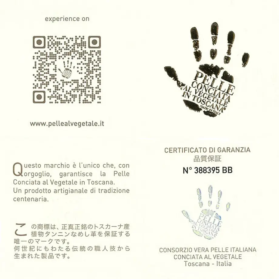 63523b6a4ff8c2069309c896