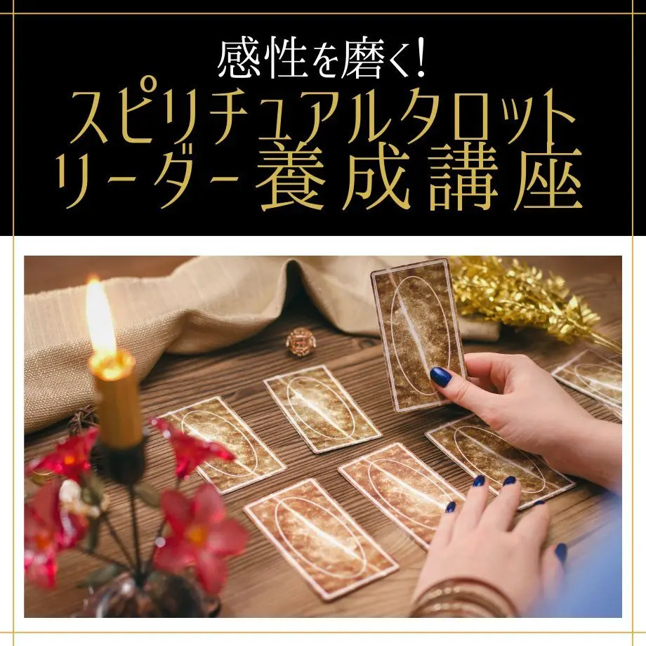5c356668c49cf362f5d814d6
