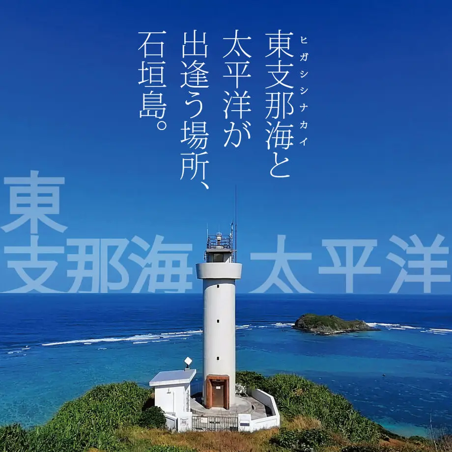 601b951c6e84d543c96cc465