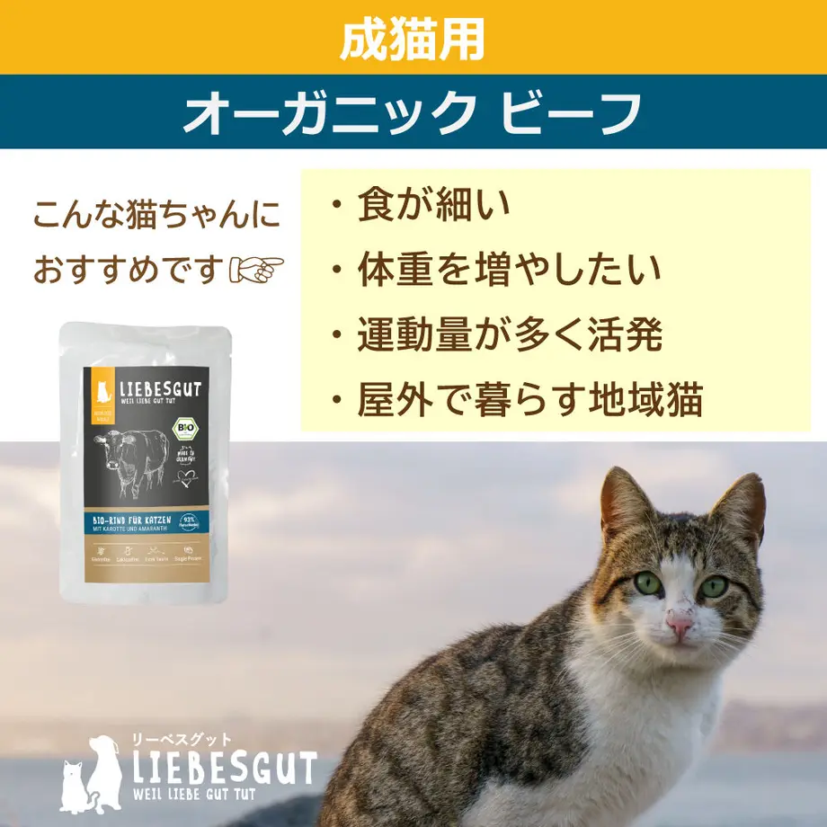 6386c370688c446e9847fe5a