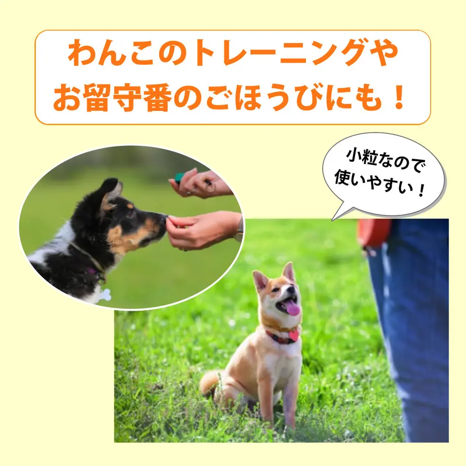 61700a86a92a787ad9933838