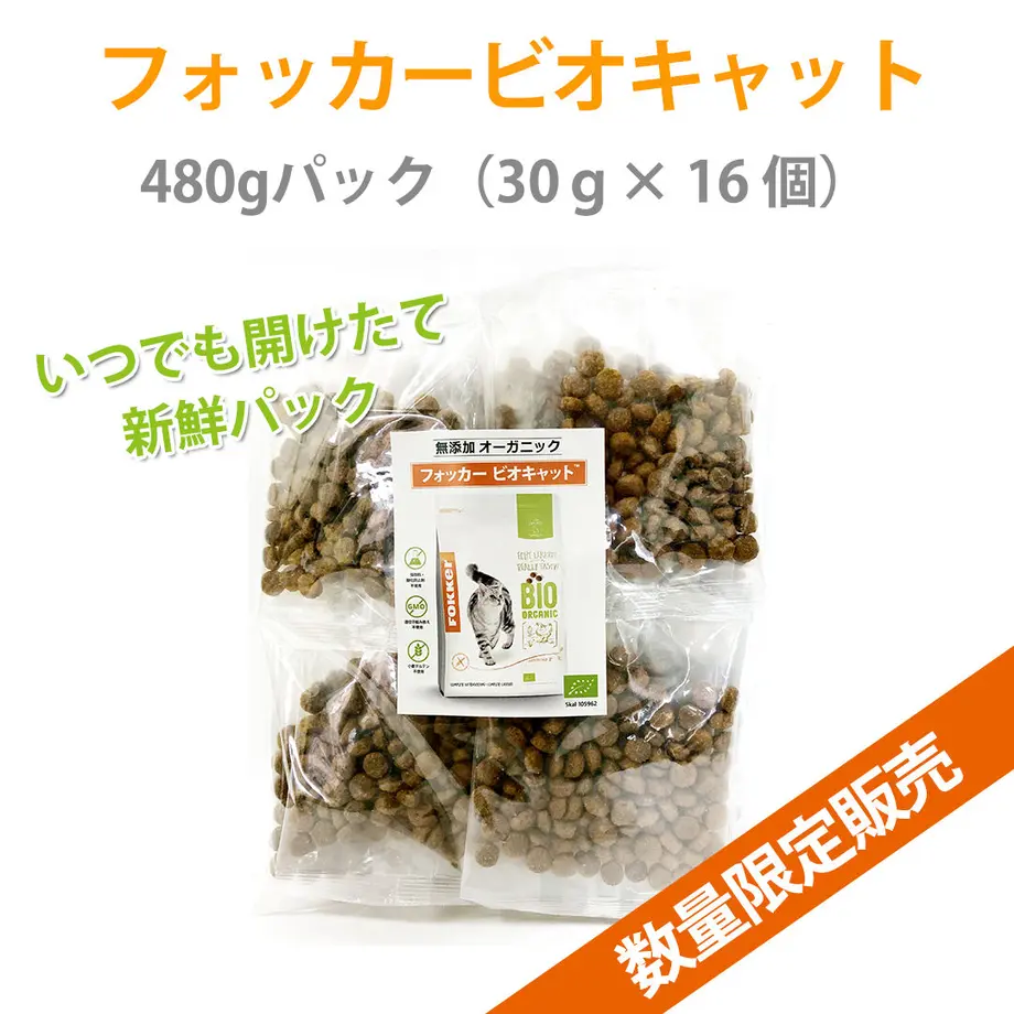 61700a86a92a787ad9933838
