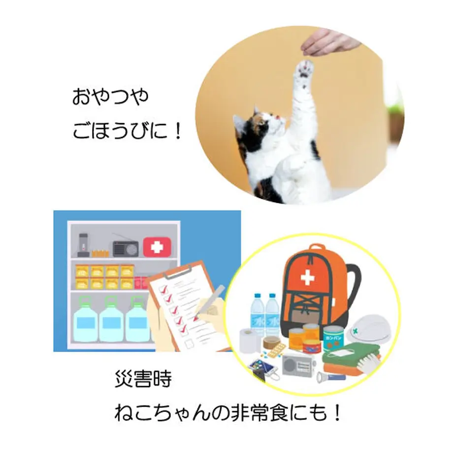61700a86a92a787ad9933838