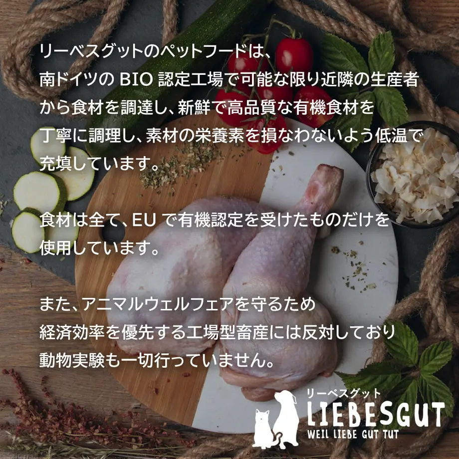 6380c7ed53ee8d00015c8267