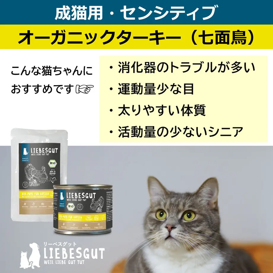 6380c7ea53ee8d00015c8255