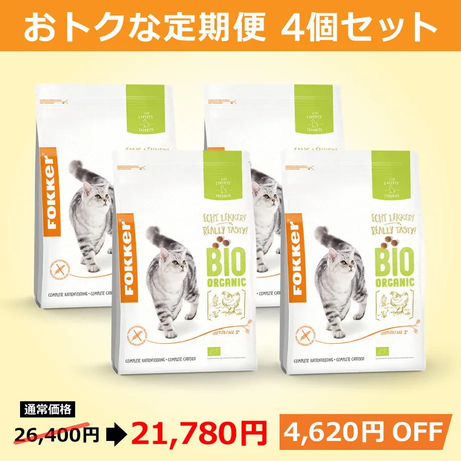5fc8e3828a4572066bdfb8fa