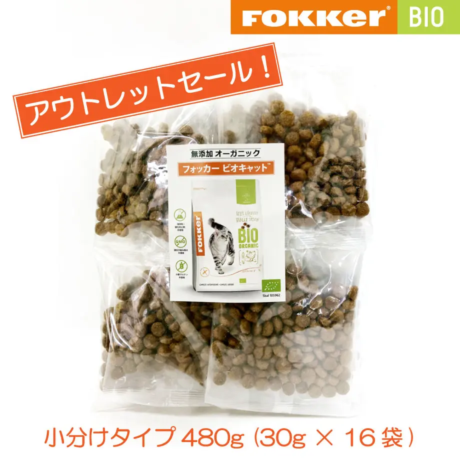 61700a86a92a787ad9933838