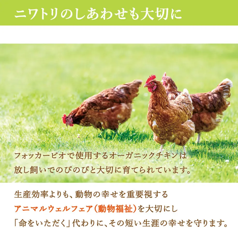 5e840919e20b0466f482e332
