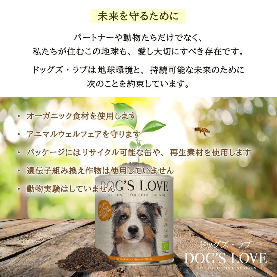 609e86d3f8440a13a63f1255