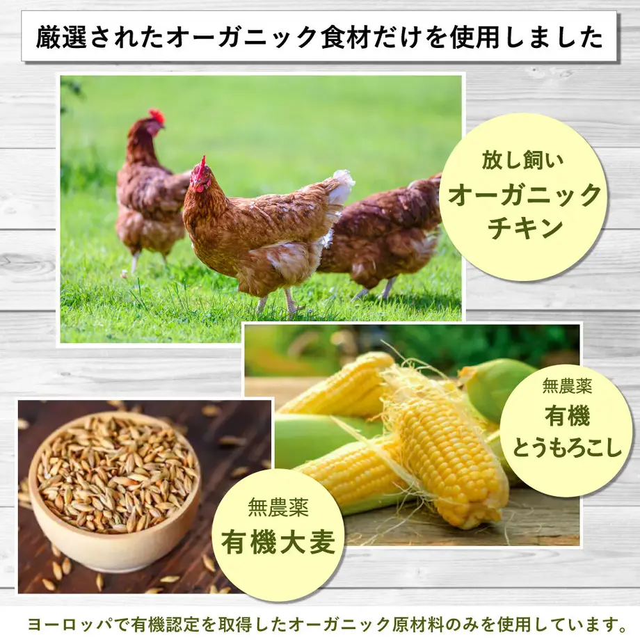 5e982ca751576258c561ace0