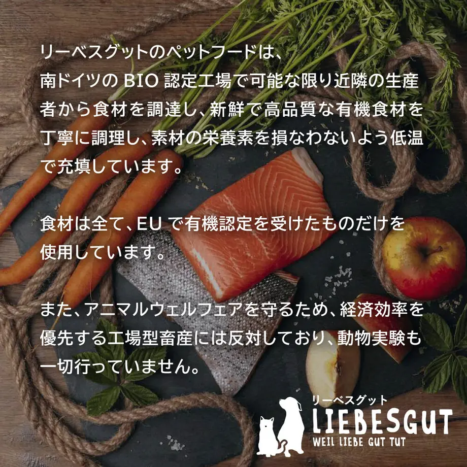 6386c370688c446e9847fe5a