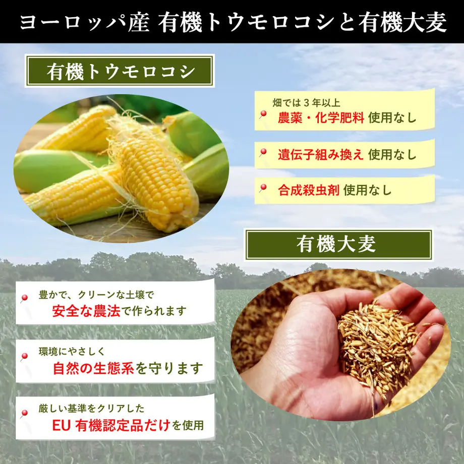 5e840919e20b0466f482e332