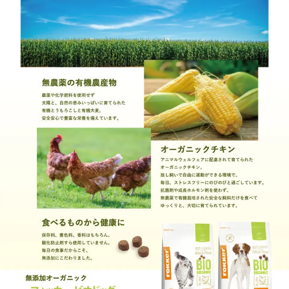 5e982ca751576258c561ace0
