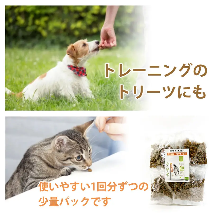 61700a86a92a787ad9933838