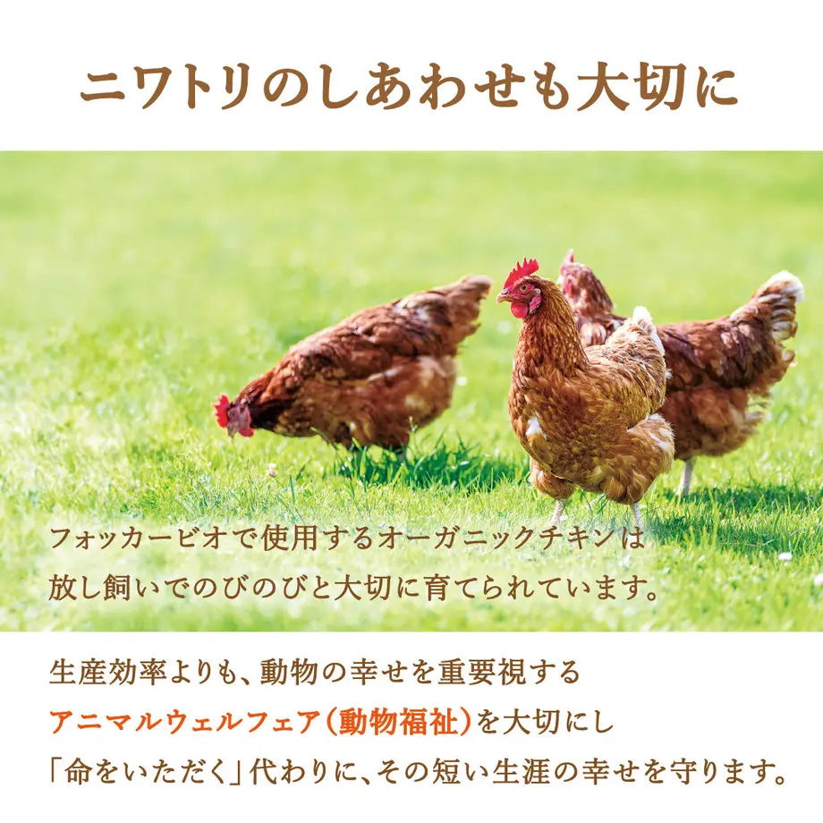 5fc893ce8a45723560d3e792