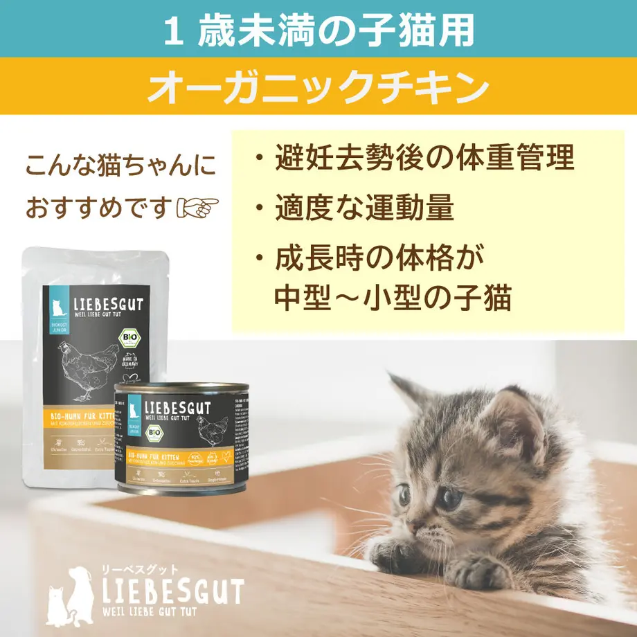 6380c7ed53ee8d00015c8267