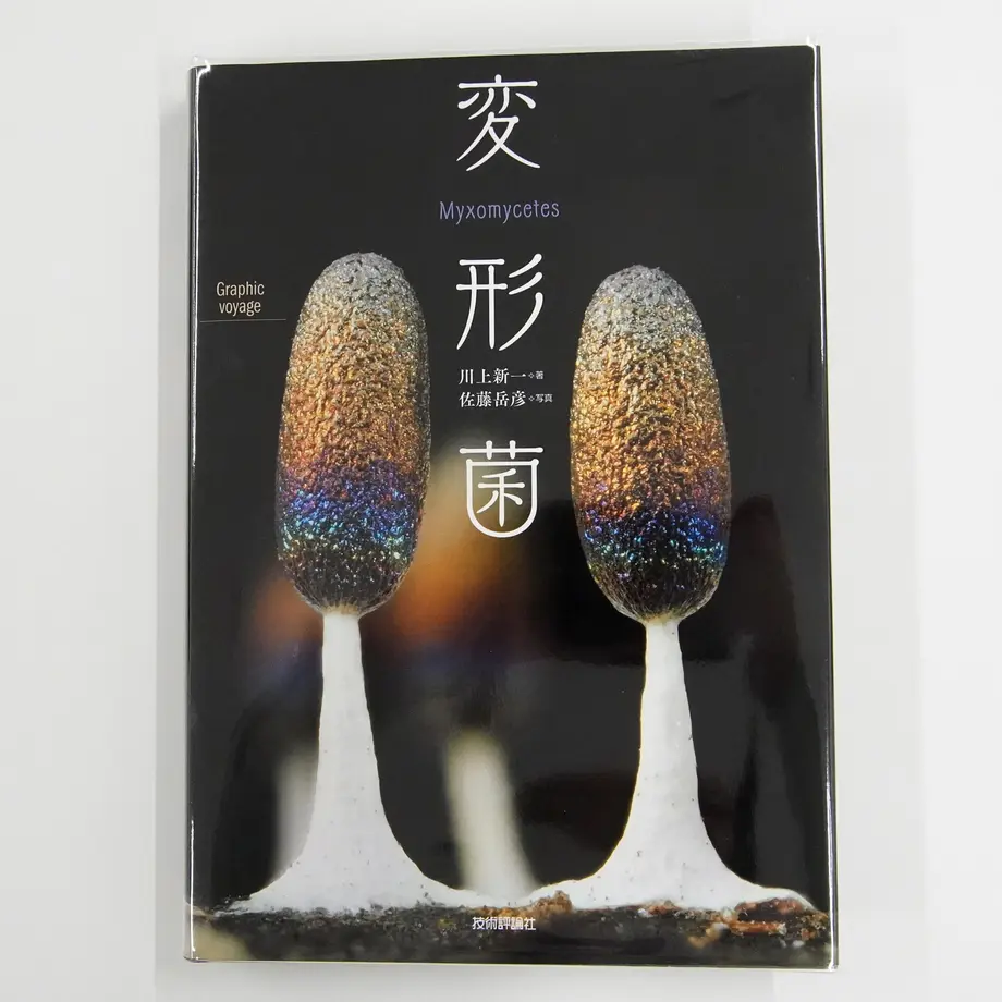 5fd872958a45723e9236b95f