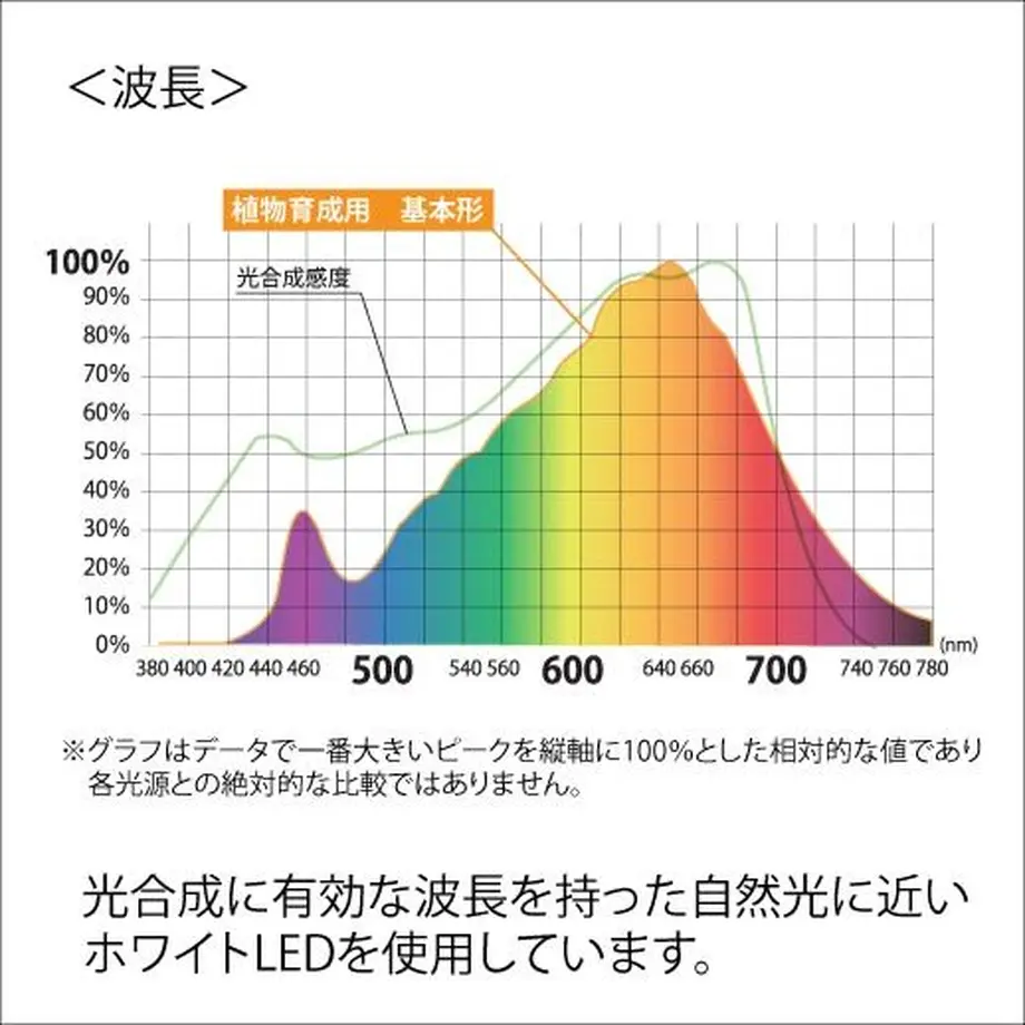 5f9bb054f0b1082c8a8b4cca