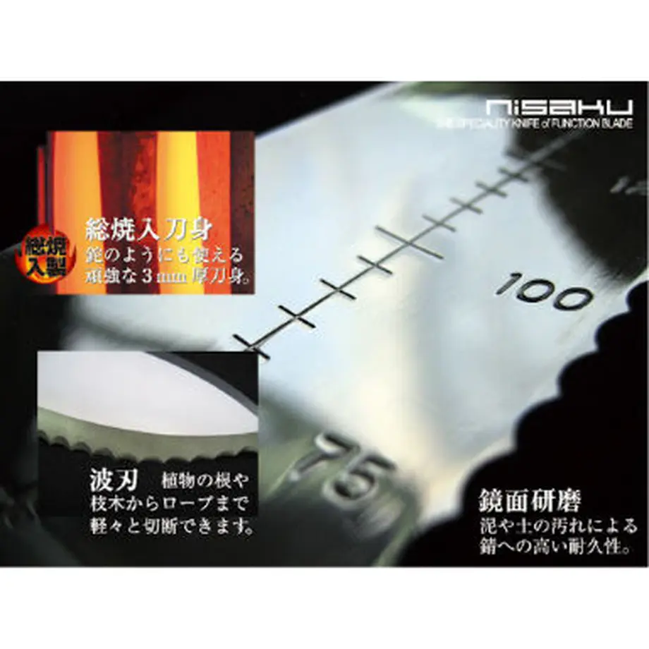 615fc12651244e558722dd7e