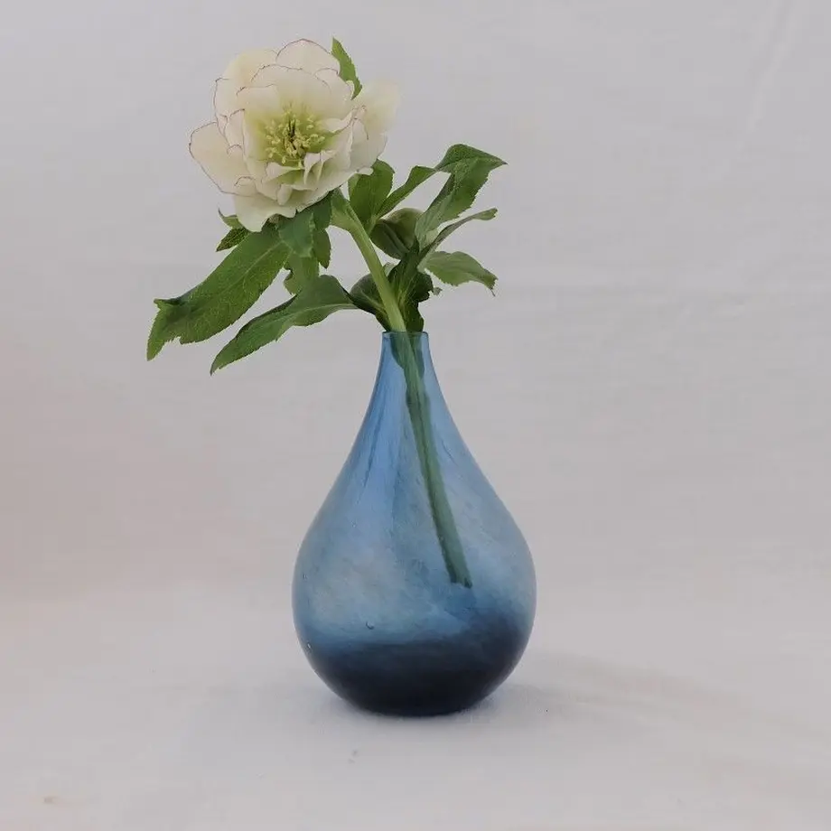 5ea0090434ef013443aa2997