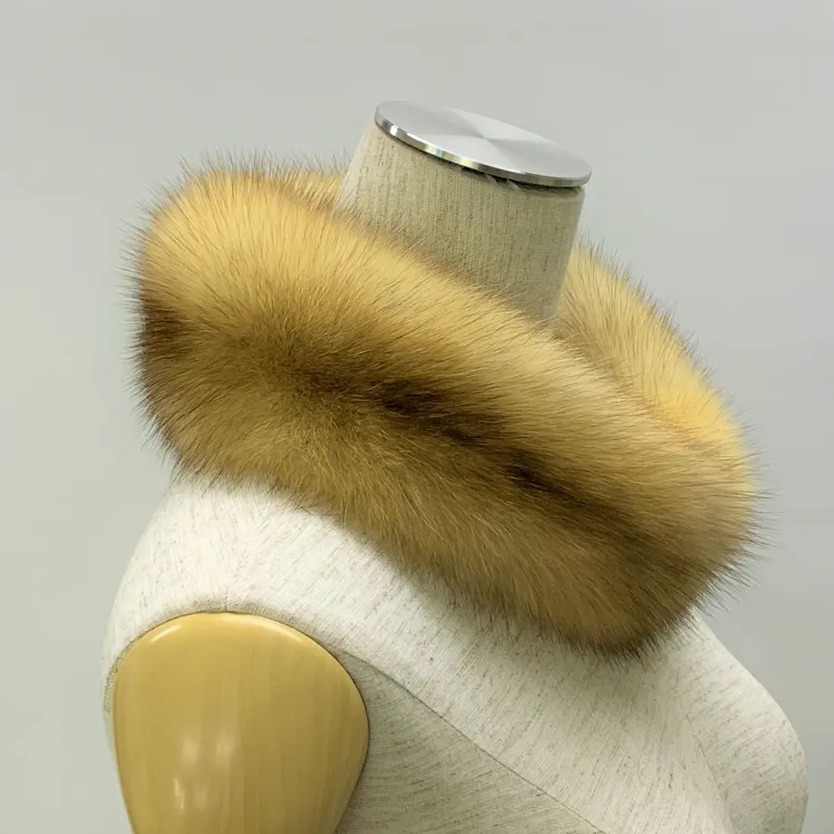 608e5ad3da019c73e03fc288