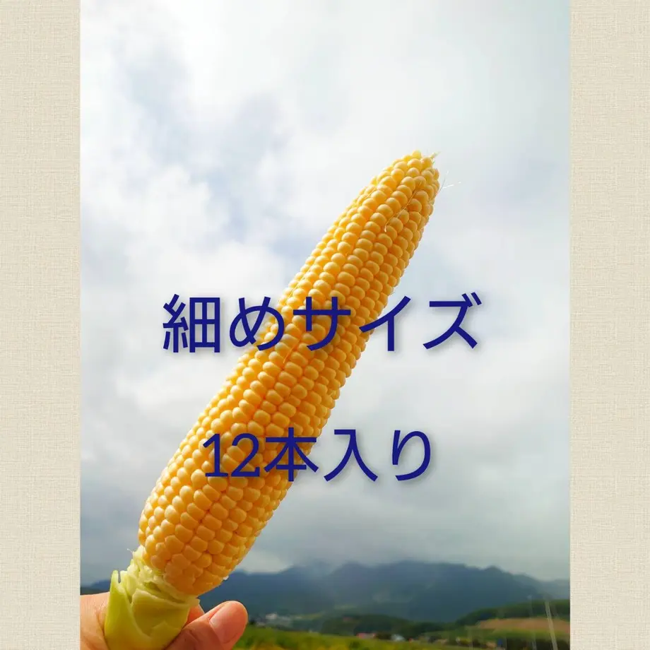 6126eceaf604a932496e18f1