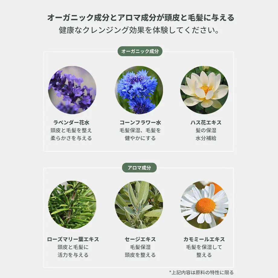 5dfc9cd4a551d56d620693d5