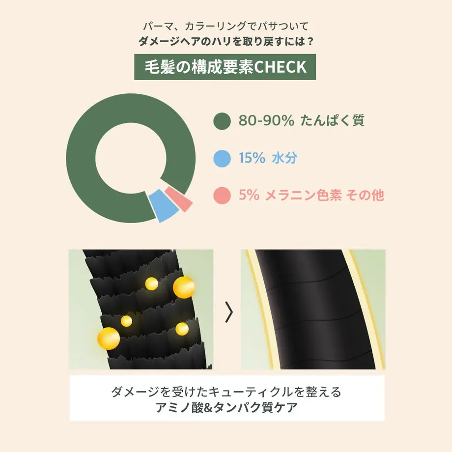 5dfc9cd4a551d56d620693d5