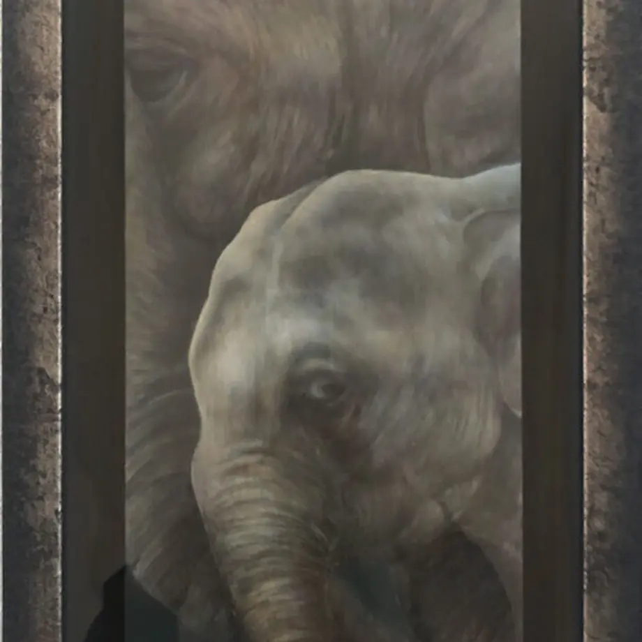 6274b79e84ec6e018b467ee2