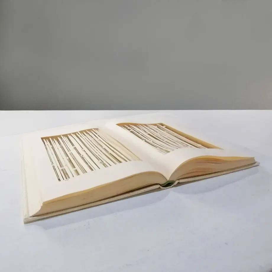 602e6d4824386001c90b7286